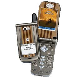 I860 WOODY
